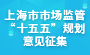 十五五规划意见征集